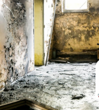 The-Risks-of-Inhaling-Construction-Dust-and-Mold-Spores-768x384